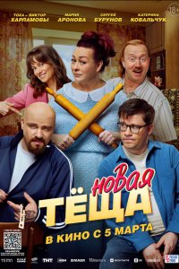 Новая тёща — постер